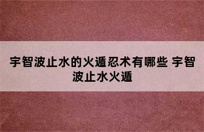 宇智波止水的火遁忍术有哪些 宇智波止水火遁